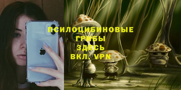 герыч Алексеевка